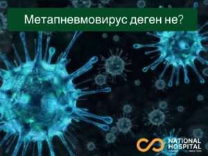 Метапневмовирус деген не ?