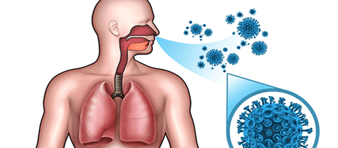 Метапневмовирус ЗОЖ
