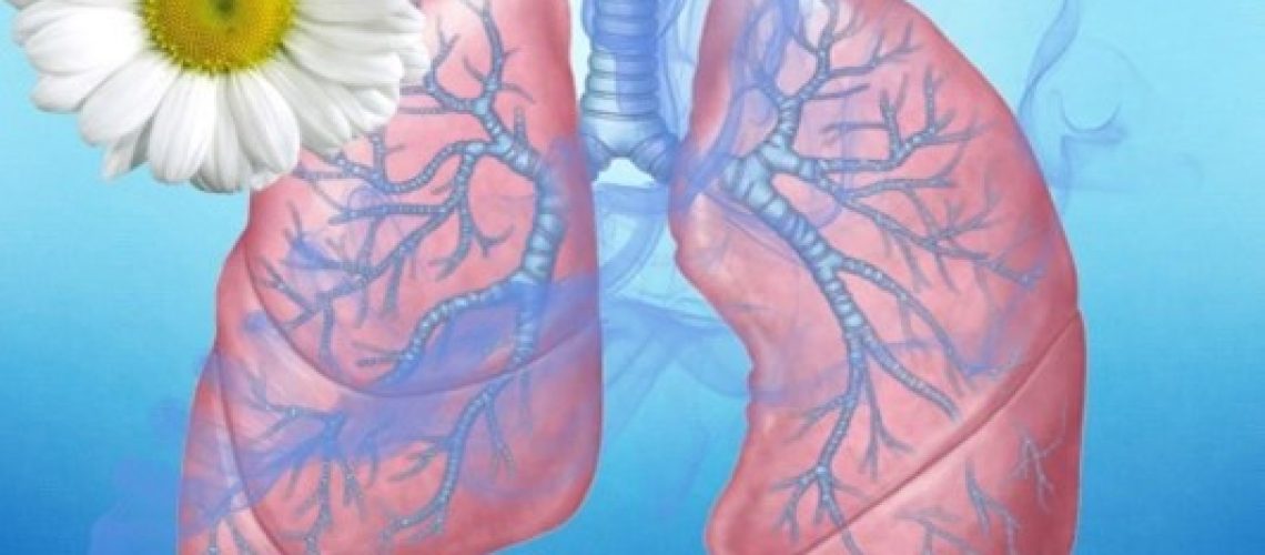 ЧТО НУЖНО ЗНАТЬ О ТУБЕРКУЛЕЗЕ 1