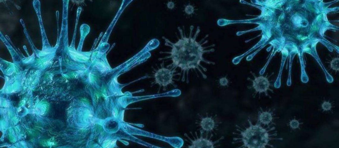 Что такое метапневмовирус каз