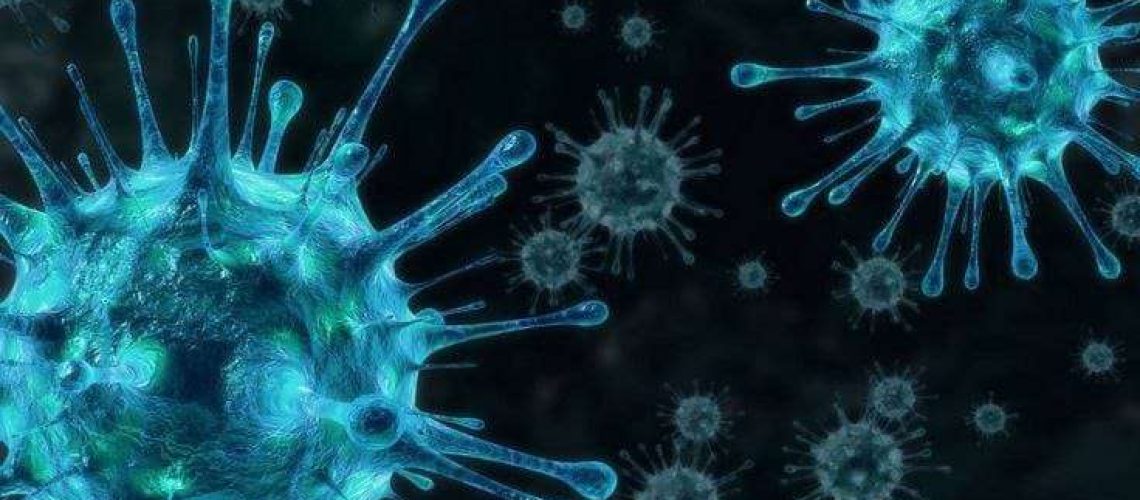 Что такое метапневмовирус рус