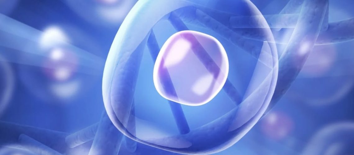 Клеточная терапия